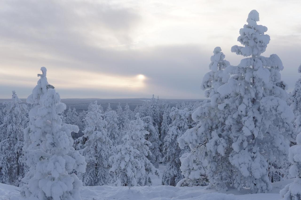 Arctic City Nest Rovaniemi Buitenkant foto